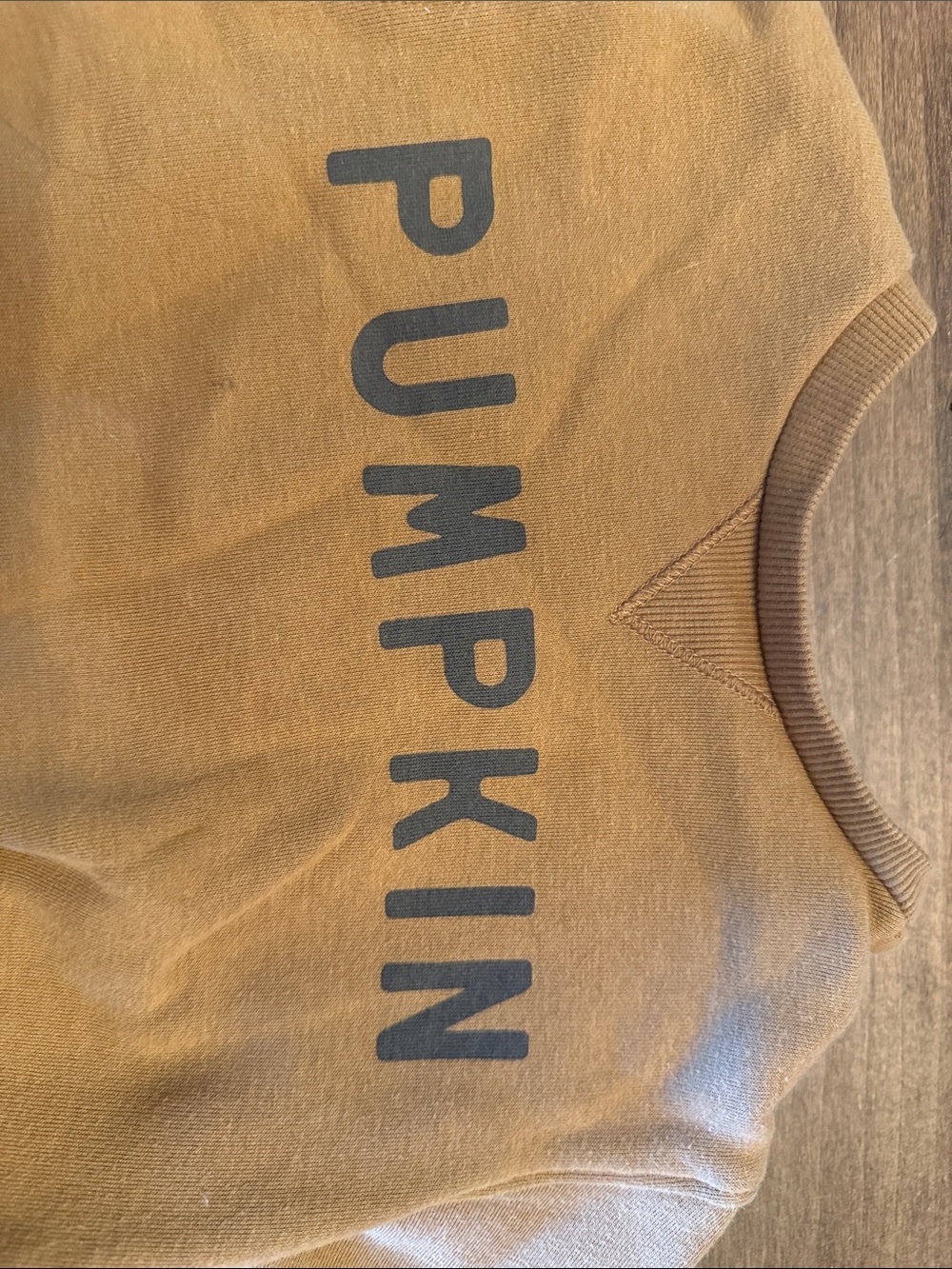 Kids Pumpkin Graphic Sweatshirt - Brown - Picture 3 of 5